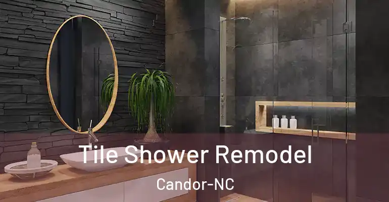 inner Bathroom imggen Tile Shower Remodel Candor-NC
