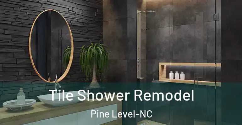 inner Bathroom imggen Tile Shower Remodel Pine Level-NC