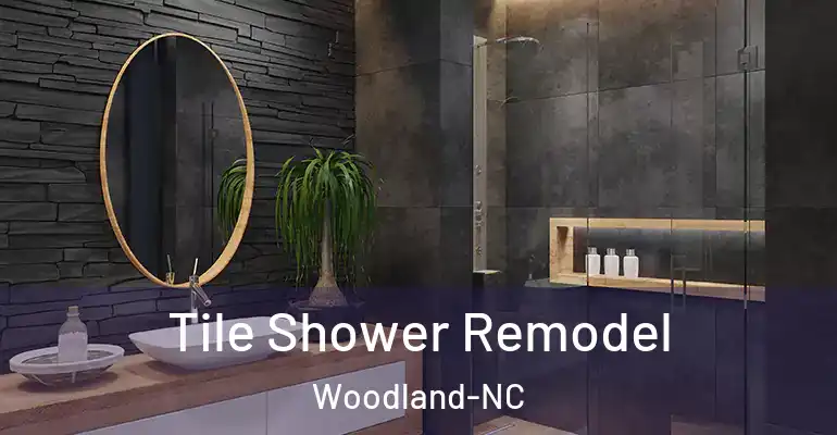 inner Bathroom imggen Tile Shower Remodel Woodland-NC