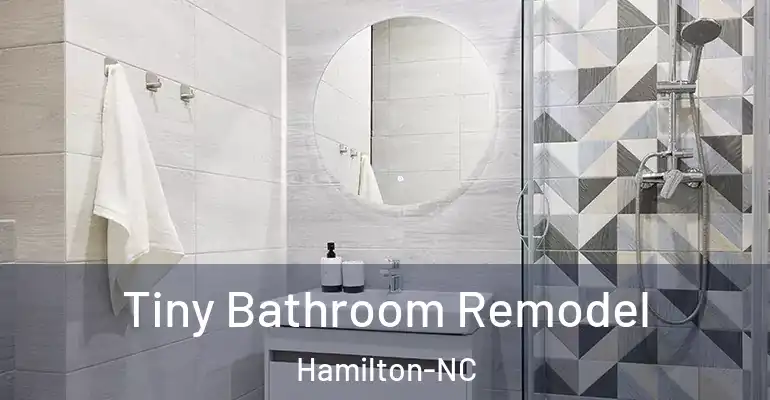 inner Bathroom imggen Tiny Bathroom Remodel Hamilton-NC