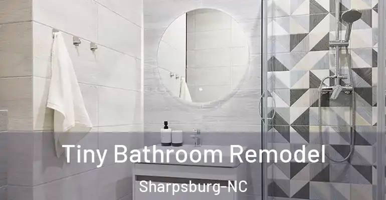 inner Bathroom imggen Tiny Bathroom Remodel Sharpsburg-NC