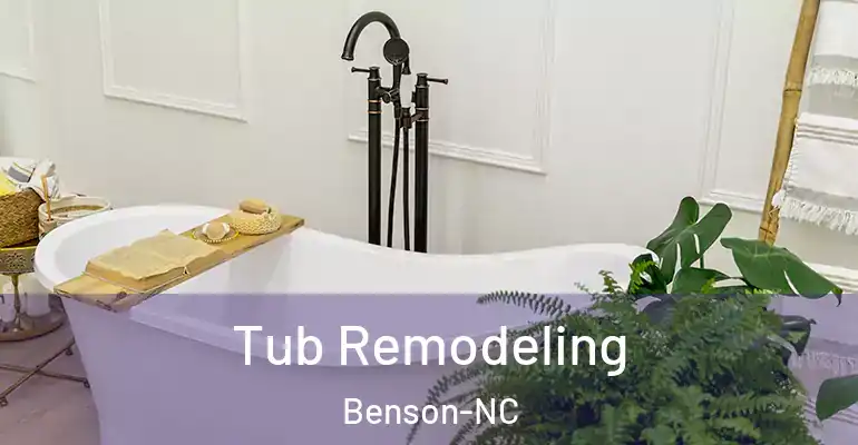 inner Bathroom imggen Tub Remodeling Benson-NC