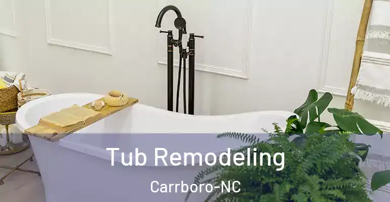 inner Bathroom imggen Tub Remodeling Carrboro-NC