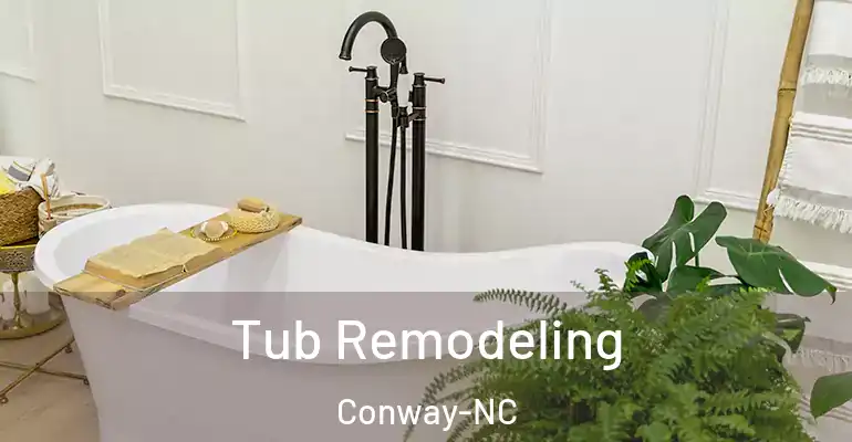 inner Bathroom imggen Tub Remodeling Conway-NC