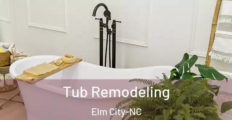 inner Bathroom imggen Tub Remodeling Elm City-NC