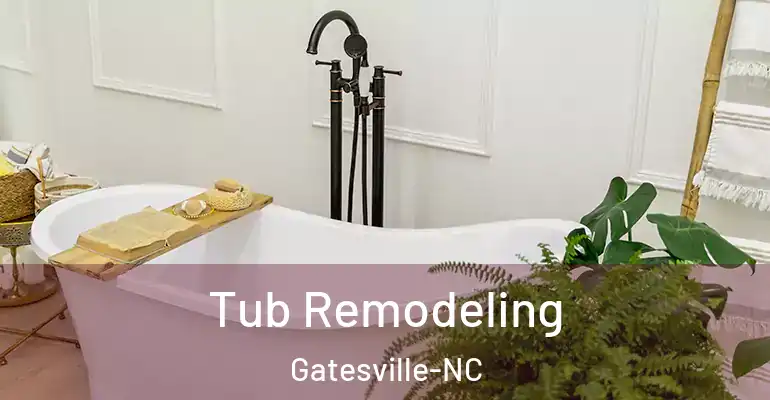inner Bathroom imggen Tub Remodeling Gatesville-NC