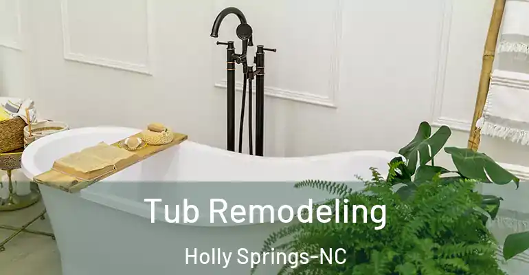 inner Bathroom imggen Tub Remodeling Holly Springs-NC