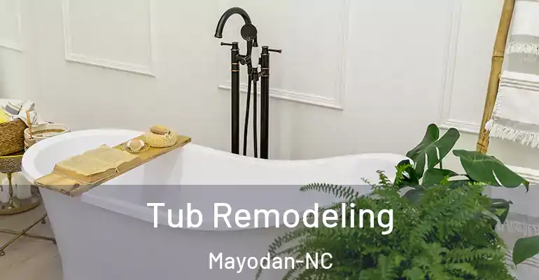 inner Bathroom imggen Tub Remodeling Mayodan-NC