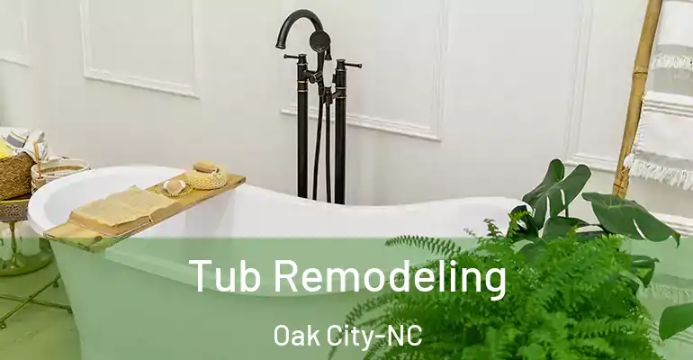 inner Bathroom imggen Tub Remodeling Oak City-NC
