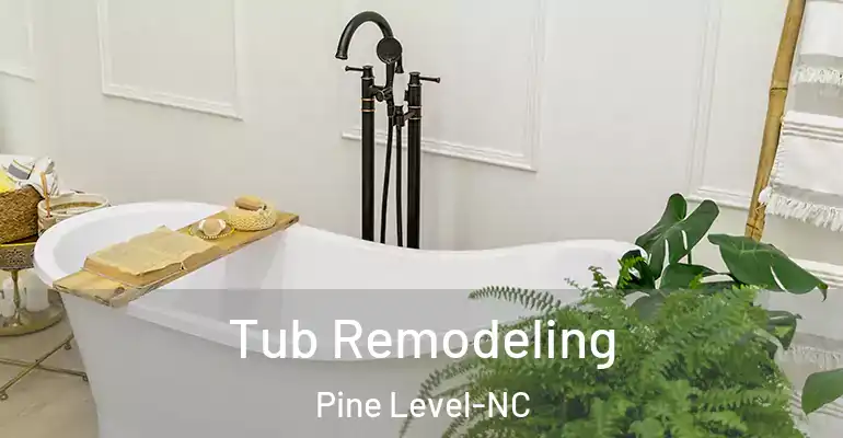 inner Bathroom imggen Tub Remodeling Pine Level-NC