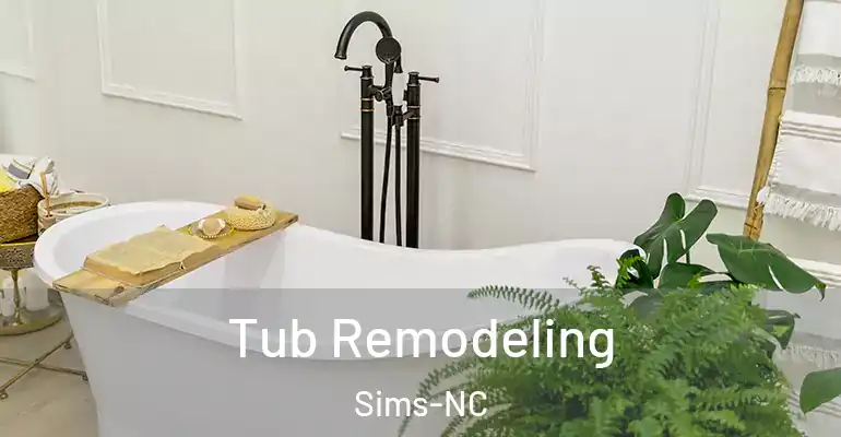 inner Bathroom imggen Tub Remodeling Sims-NC