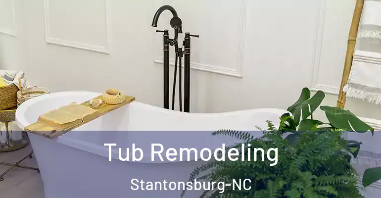 inner Bathroom imggen Tub Remodeling Stantonsburg-NC