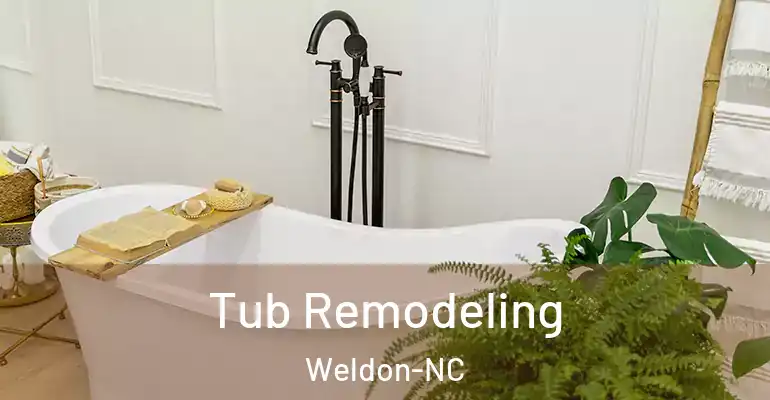 inner Bathroom imggen Tub Remodeling Weldon-NC