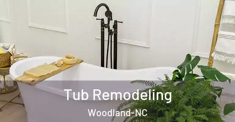 inner Bathroom imggen Tub Remodeling Woodland-NC