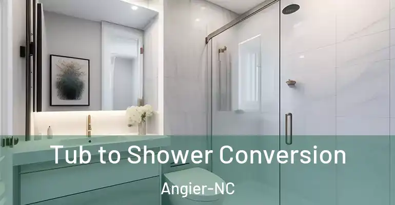 inner Bathroom imggen Tub to Shower Conversion Angier-NC