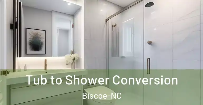 inner Bathroom imggen Tub to Shower Conversion Biscoe-NC
