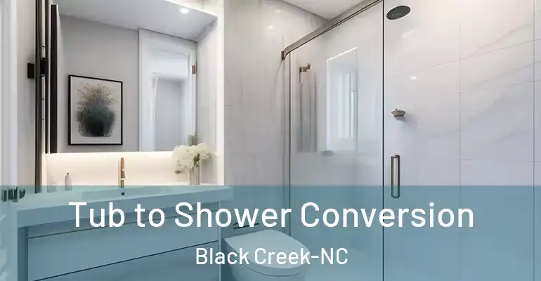 inner Bathroom imggen Tub to Shower Conversion Black Creek-NC