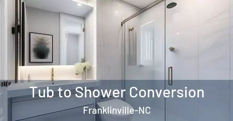 inner Bathroom imggen Tub to Shower Conversion Franklinville-NC