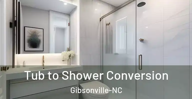 inner Bathroom imggen Tub to Shower Conversion Gibsonville-NC