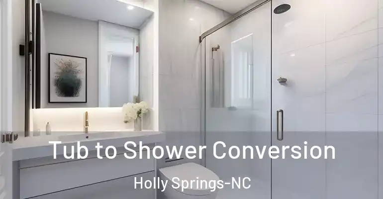 inner Bathroom imggen Tub to Shower Conversion Holly Springs-NC