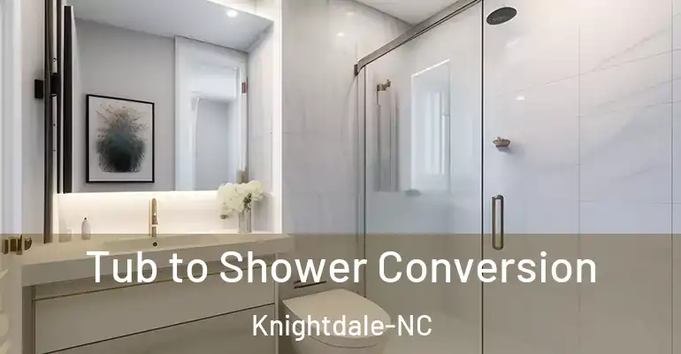 inner Bathroom imggen Tub to Shower Conversion Knightdale-NC