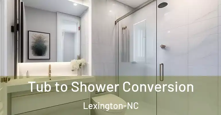 inner Bathroom imggen Tub to Shower Conversion Lexington-NC