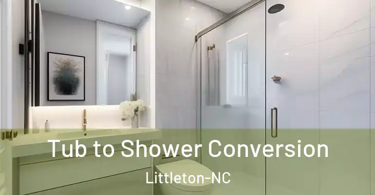 inner Bathroom imggen Tub to Shower Conversion Littleton-NC