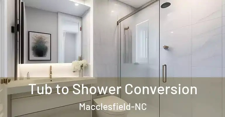 inner Bathroom imggen Tub to Shower Conversion Macclesfield-NC