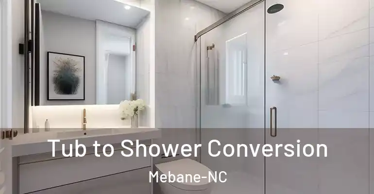 inner Bathroom imggen Tub to Shower Conversion Mebane-NC