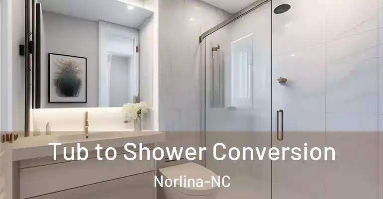 inner Bathroom imggen Tub to Shower Conversion Norlina-NC
