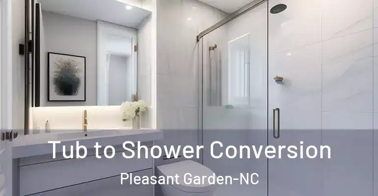 inner Bathroom imggen Tub to Shower Conversion Pleasant Garden-NC