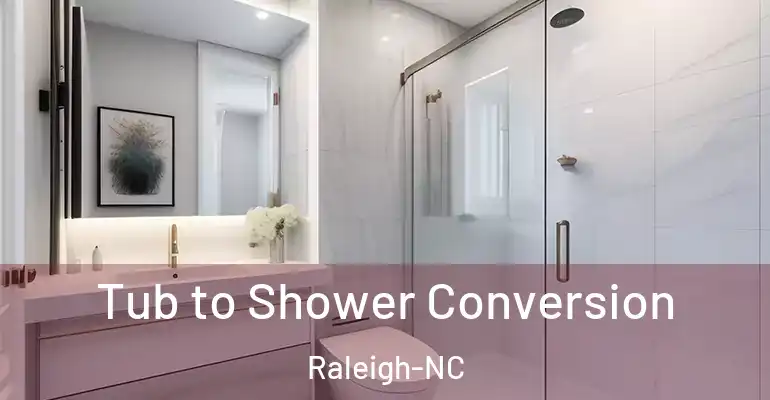 inner Bathroom imggen Tub to Shower Conversion Raleigh-NC