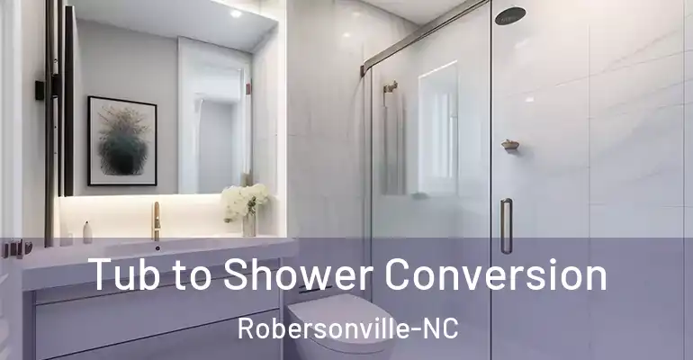 inner Bathroom imggen Tub to Shower Conversion Robersonville-NC