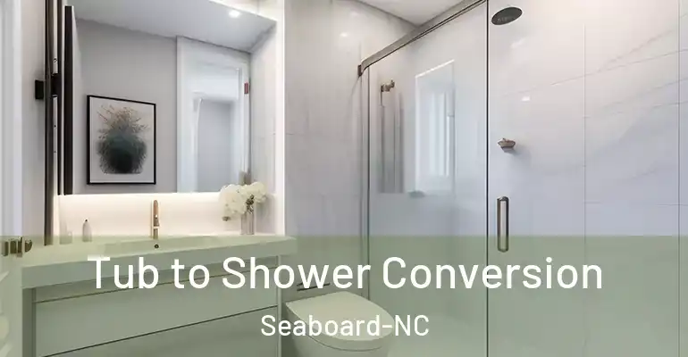inner Bathroom imggen Tub to Shower Conversion Seaboard-NC