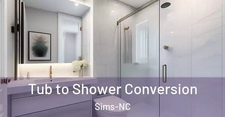 inner Bathroom imggen Tub to Shower Conversion Sims-NC