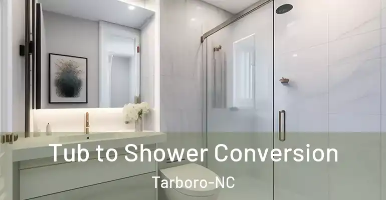 inner Bathroom imggen Tub to Shower Conversion Tarboro-NC