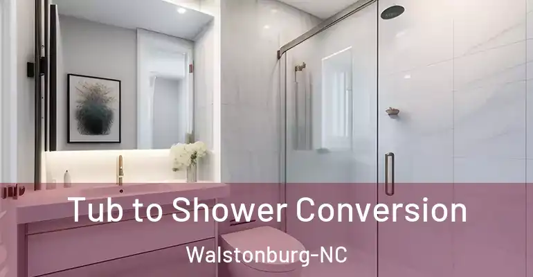 inner Bathroom imggen Tub to Shower Conversion Walstonburg-NC
