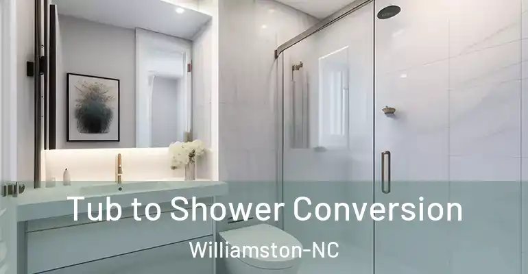 inner Bathroom imggen Tub to Shower Conversion Williamston-NC