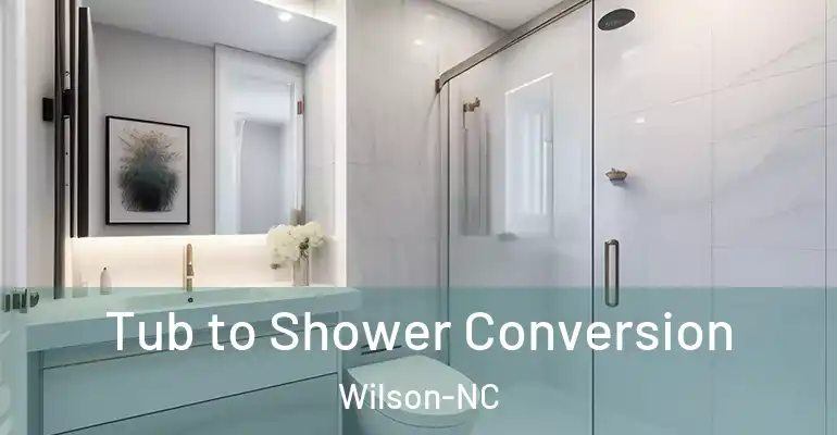 inner Bathroom imggen Tub to Shower Conversion Wilson-NC