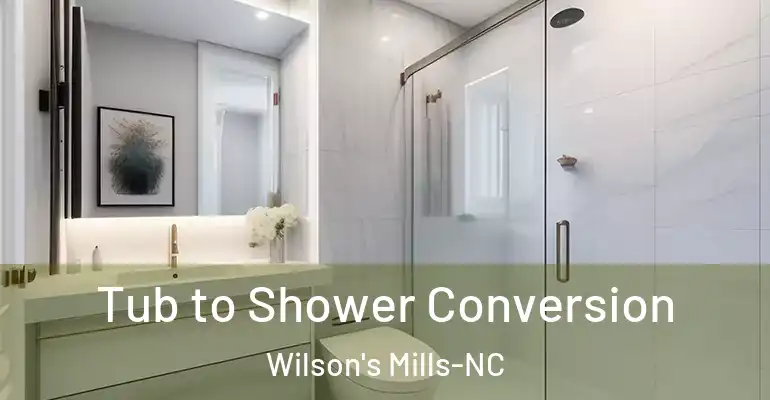 inner Bathroom imggen Tub to Shower Conversion Wilson's Mills-NC
