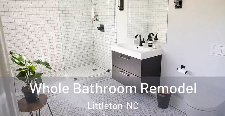 inner Bathroom imggen Whole Bathroom Remodel Littleton-NC