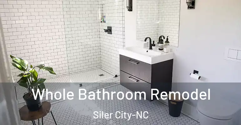 inner Bathroom imggen Whole Bathroom Remodel Siler City-NC