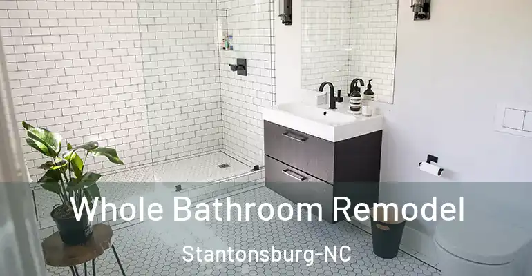 inner Bathroom imggen Whole Bathroom Remodel Stantonsburg-NC