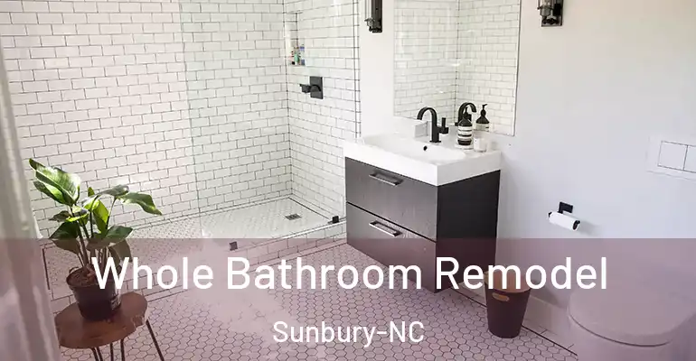 inner Bathroom imggen Whole Bathroom Remodel Sunbury-NC