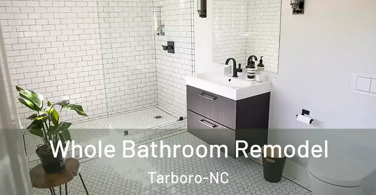 inner Bathroom imggen Whole Bathroom Remodel Tarboro-NC